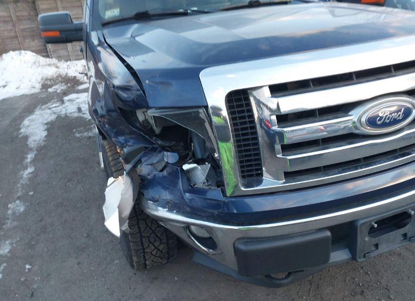 Photo 6 of 2010 Ford F-150 FX4/LARIAT/XL/XLT (VIN 1FTFX1EV1AFC67453)