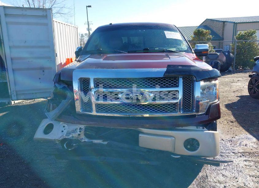 Photo 12 of 2010 Ford F-150 FX4/LARIAT/XL/XLT (VIN 1FTFX1EV1AKC10998)