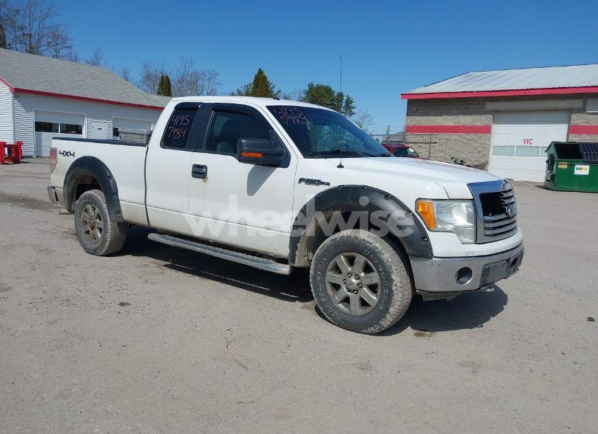 2010 Ford F-150 FX4/LARIAT/XL/XLT (VIN 1FTFX1EV1AKE42758) main photo