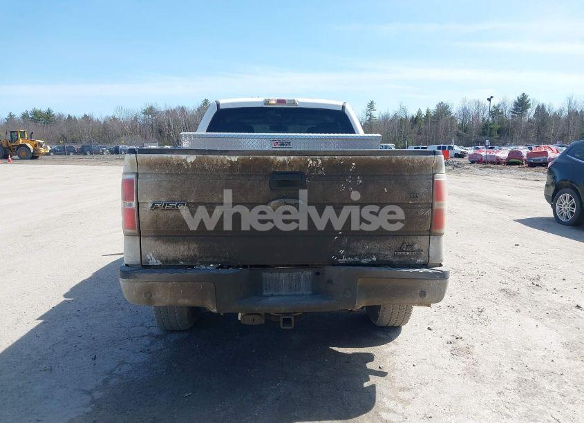 Photo 16 of 2010 Ford F-150 FX4/LARIAT/XL/XLT (VIN 1FTFX1EV1AKE42758)