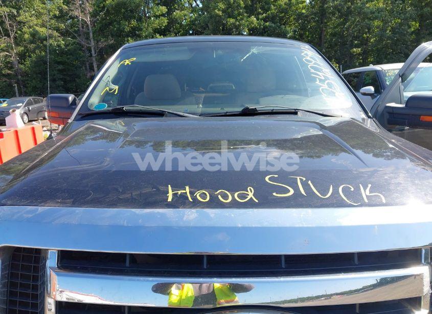 Photo 10 of 2010 Ford F-150 FX4/LARIAT/XL/XLT (VIN 1FTFX1EV2AFC95925)