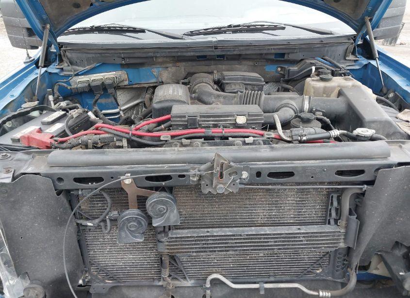 Photo 10 of 2010 Ford F-150 FX4/LARIAT/XL/XLT (VIN 1FTFX1EV2AFD17342)