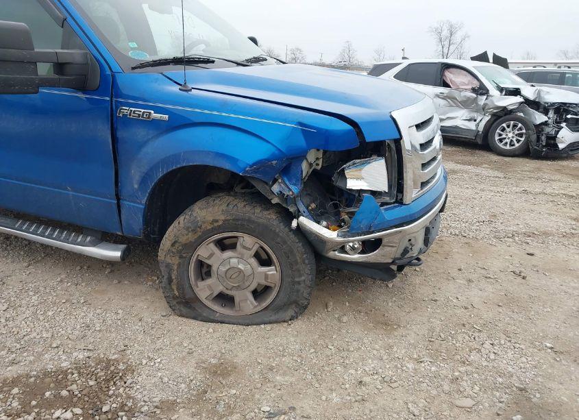 Photo 6 of 2010 Ford F-150 FX4/LARIAT/XL/XLT (VIN 1FTFX1EV2AFD17342)