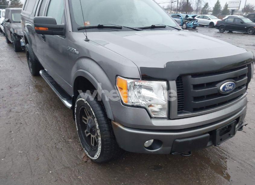 2010 Ford F-150 FX4/LARIAT/XL/XLT (VIN 1FTFX1EV2AFD81770) main photo