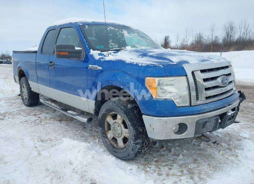 2010 Ford F-150 FX4/LARIAT/XL/XLT (VIN 1FTFX1EV3AFB05050) main photo