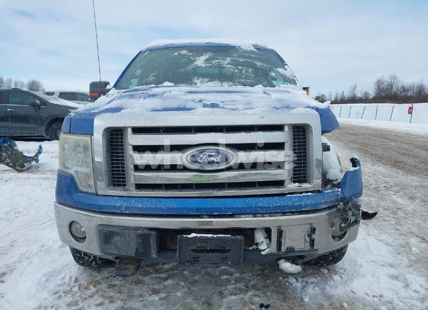 Photo 12 of 2010 Ford F-150 FX4/LARIAT/XL/XLT (VIN 1FTFX1EV3AFB05050)