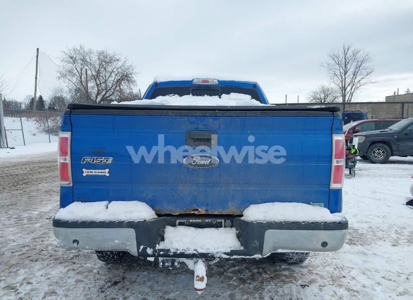 Photo 16 of 2010 Ford F-150 FX4/LARIAT/XL/XLT (VIN 1FTFX1EV3AFB05050)