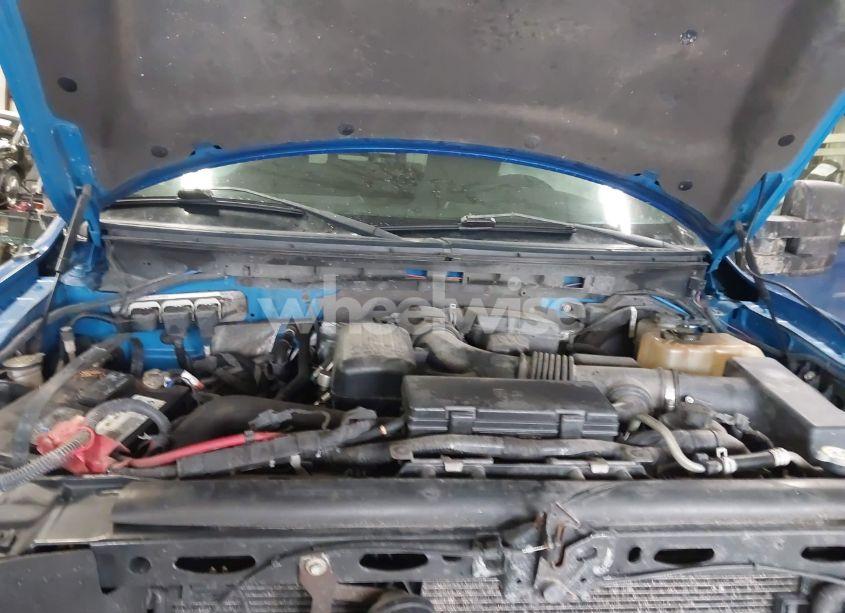 Photo 10 of 2010 Ford F-150 FX4/LARIAT/XL/XLT (VIN 1FTFX1EV3AFB36881)