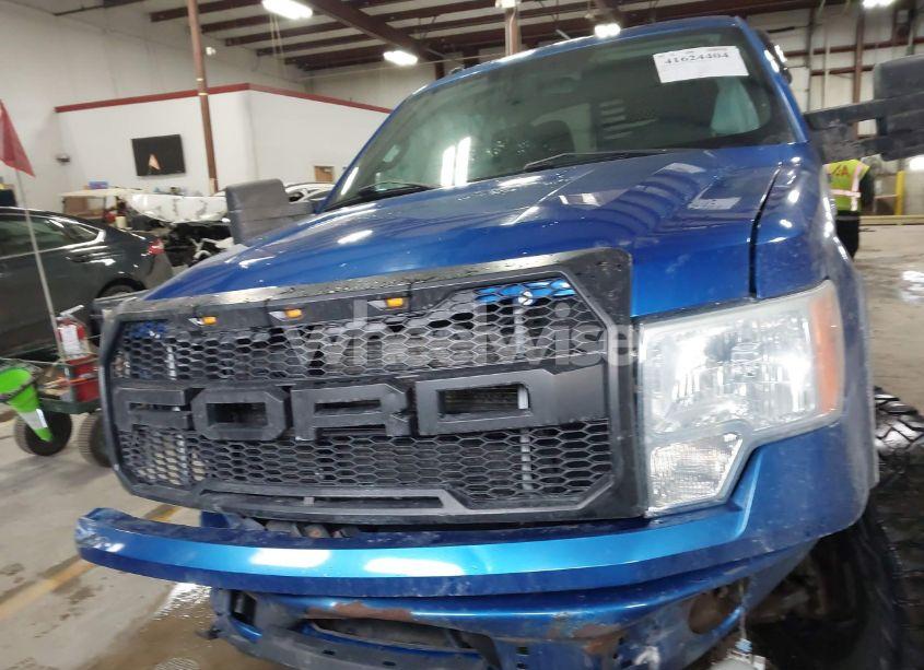 Photo 12 of 2010 Ford F-150 FX4/LARIAT/XL/XLT (VIN 1FTFX1EV3AFB36881)