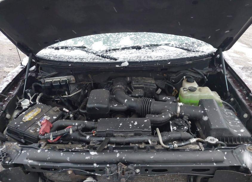 Photo 10 of 2010 Ford F-150 FX4/LARIAT/XL/XLT (VIN 1FTFX1EV3AFB38808)