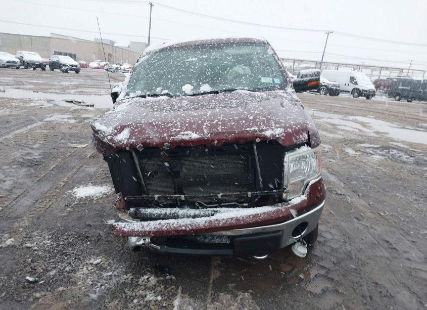 Photo 13 of 2010 Ford F-150 FX4/LARIAT/XL/XLT (VIN 1FTFX1EV3AFB38808)