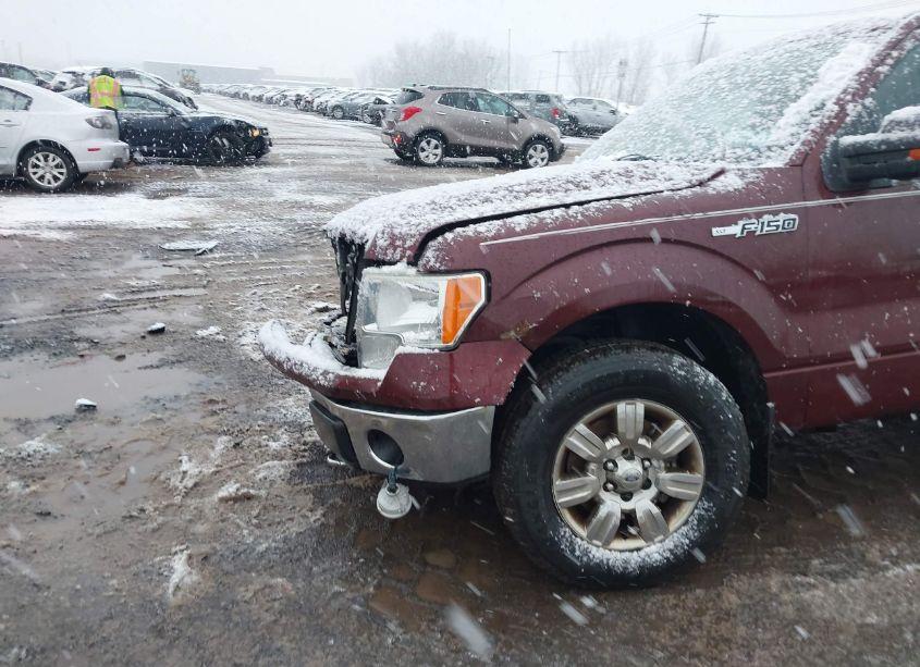 Photo 22 of 2010 Ford F-150 FX4/LARIAT/XL/XLT (VIN 1FTFX1EV3AFB38808)