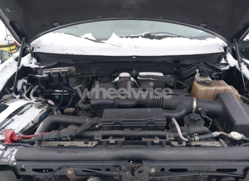 Photo 10 of 2010 Ford F-150 FX4/LARIAT/XL/XLT (VIN 1FTFX1EV3AFC42490)