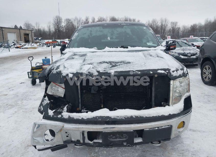 Photo 12 of 2010 Ford F-150 FX4/LARIAT/XL/XLT (VIN 1FTFX1EV3AFC42490)