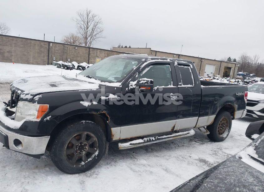 Photo 14 of 2010 Ford F-150 FX4/LARIAT/XL/XLT (VIN 1FTFX1EV3AFC42490)