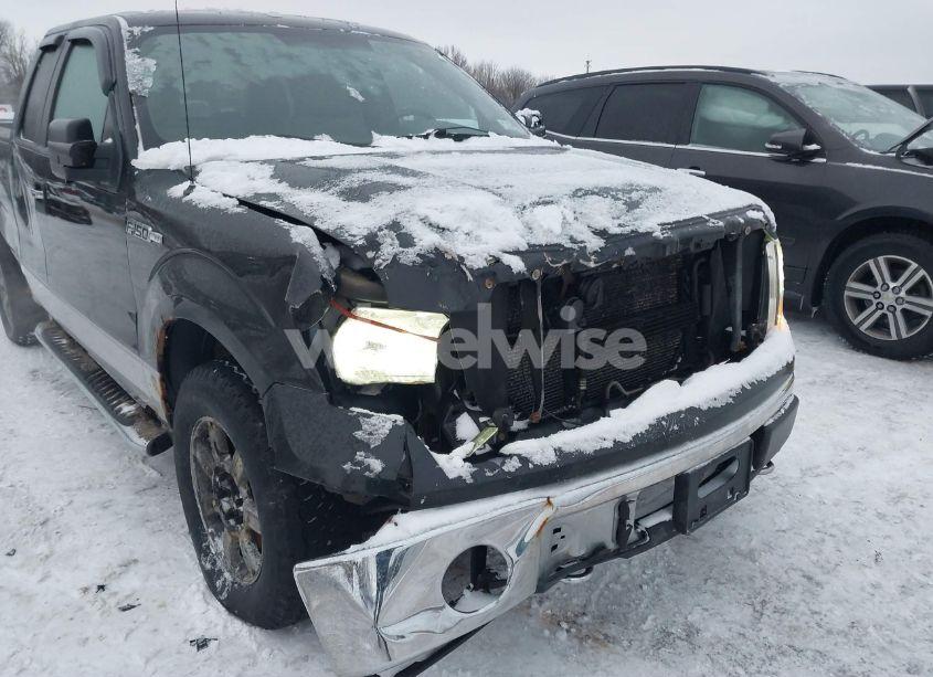 Photo 6 of 2010 Ford F-150 FX4/LARIAT/XL/XLT (VIN 1FTFX1EV3AFC42490)