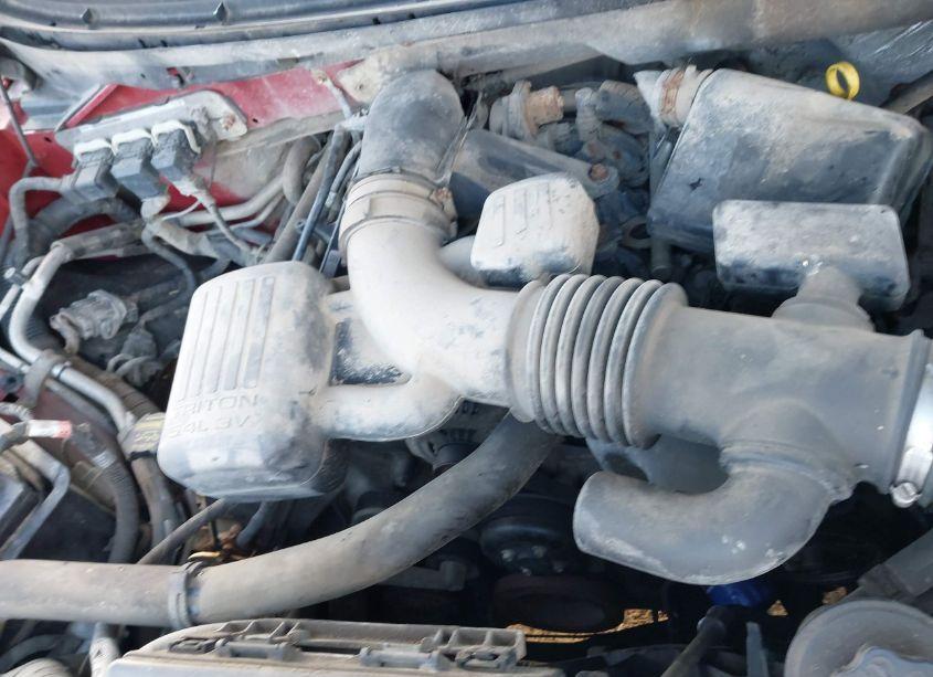 Photo 10 of 2010 Ford F-150 FX4/LARIAT/XL/XLT (VIN 1FTFX1EV3AFD77212)