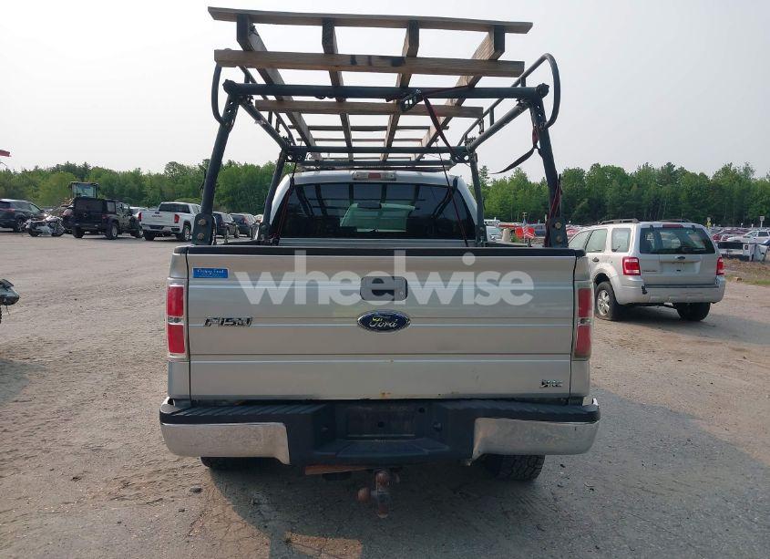 Photo 16 of 2010 Ford F-150 FX4/LARIAT/XL/XLT (VIN 1FTFX1EV4AFA84211)