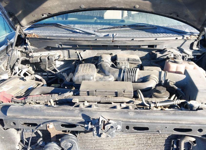 Photo 10 of 2010 Ford F-150 FX4/LARIAT/XL/XLT (VIN 1FTFX1EV4AFD06777)