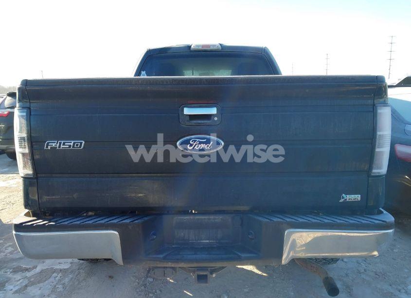 Photo 16 of 2010 Ford F-150 FX4/LARIAT/XL/XLT (VIN 1FTFX1EV4AFD06777)