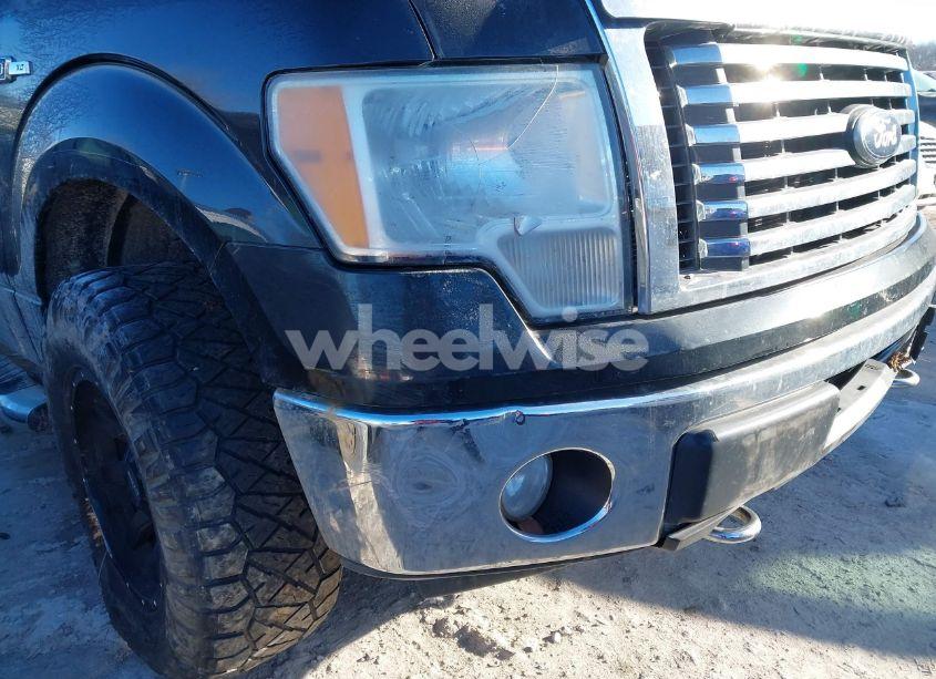 Photo 6 of 2010 Ford F-150 FX4/LARIAT/XL/XLT (VIN 1FTFX1EV4AFD06777)