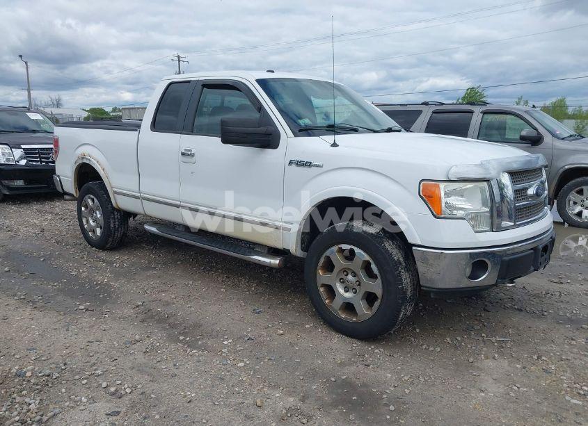 2010 Ford F-150 FX4/LARIAT/XL/XLT (VIN 1FTFX1EV5AFA07346) main photo
