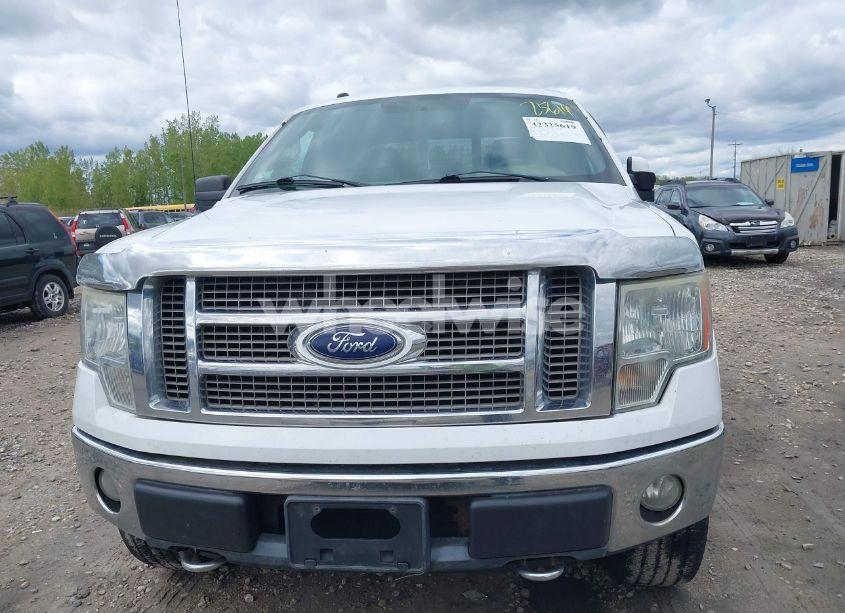 Photo 12 of 2010 Ford F-150 FX4/LARIAT/XL/XLT (VIN 1FTFX1EV5AFA07346)