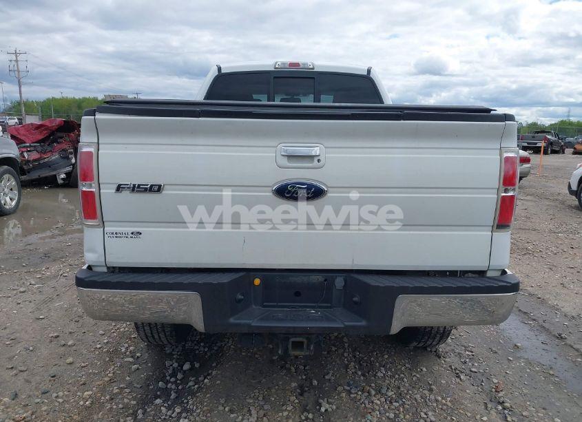 Photo 16 of 2010 Ford F-150 FX4/LARIAT/XL/XLT (VIN 1FTFX1EV5AFA07346)