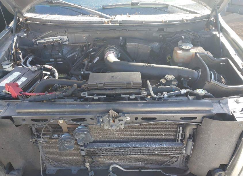 Photo 10 of 2010 Ford F-150 FX4/LARIAT/XL/XLT (VIN 1FTFX1EV5AFA62332)