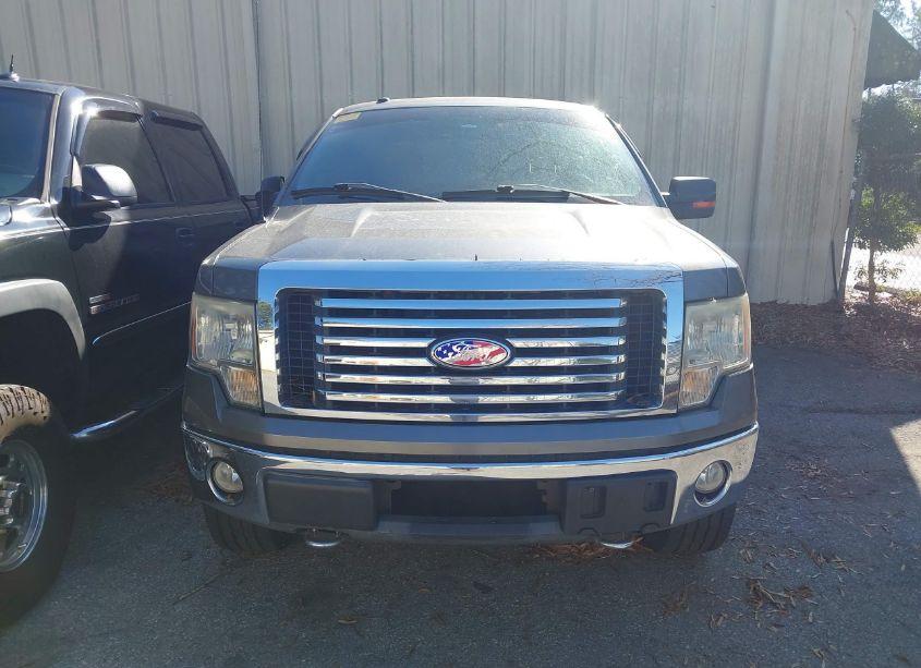 Photo 12 of 2010 Ford F-150 FX4/LARIAT/XL/XLT (VIN 1FTFX1EV5AFA62332)