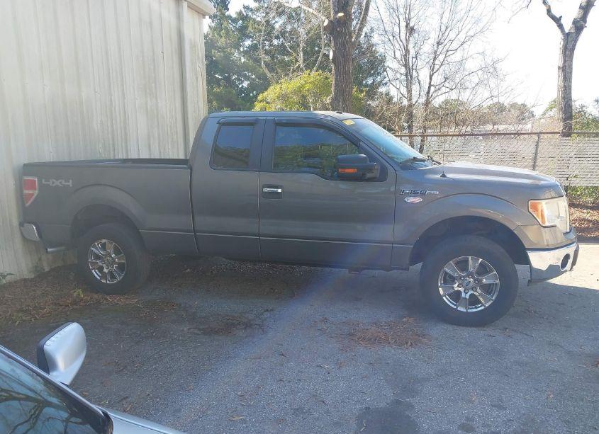 Photo 13 of 2010 Ford F-150 FX4/LARIAT/XL/XLT (VIN 1FTFX1EV5AFA62332)