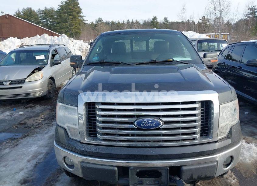 Photo 12 of 2010 Ford F-150 (VIN 1FTFX1EV5AFD47497)