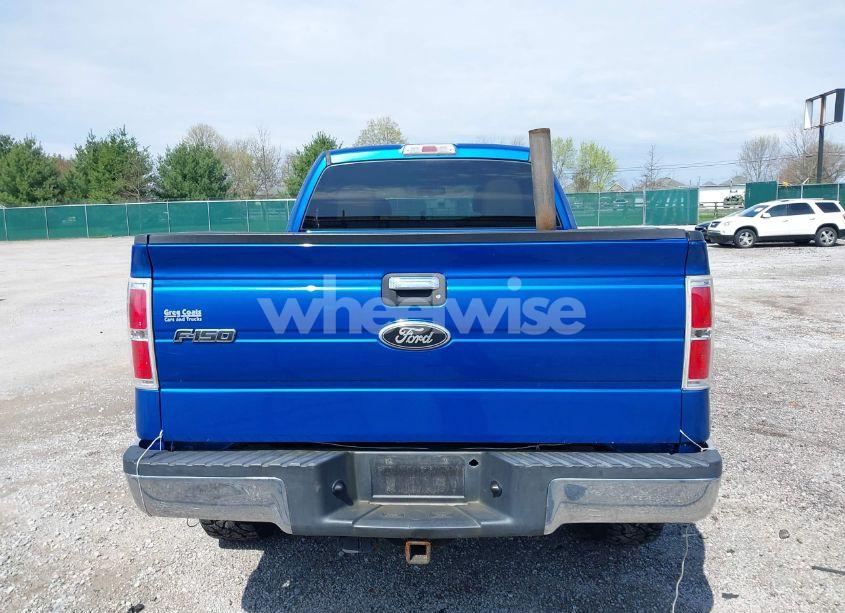 Photo 17 of 2010 Ford F-150 FX4/LARIAT/XL/XLT (VIN 1FTFX1EV5AFD48164)