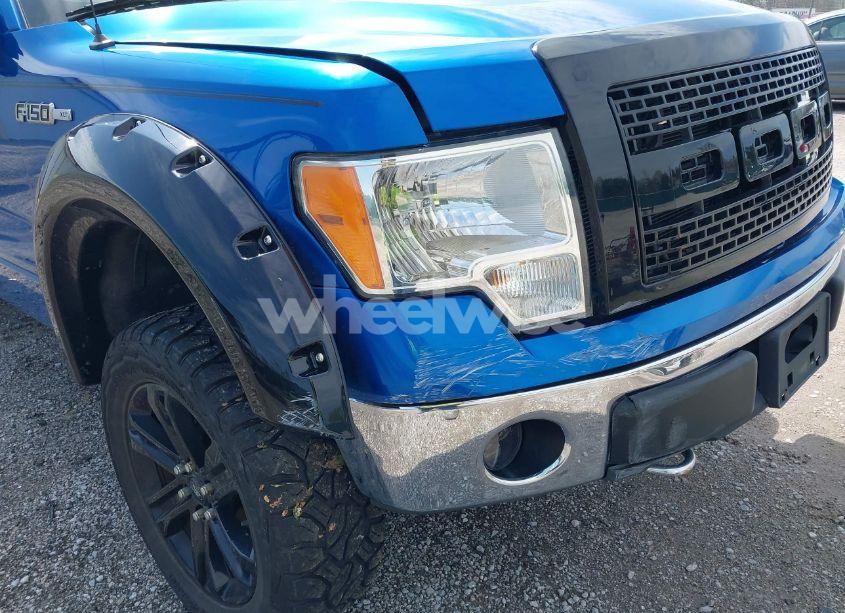 Photo 6 of 2010 Ford F-150 FX4/LARIAT/XL/XLT (VIN 1FTFX1EV5AFD48164)