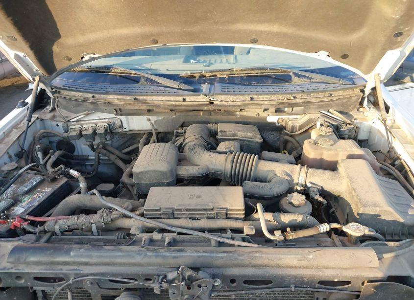 Photo 10 of 2010 Ford F-150 FX4/LARIAT/XL/XLT (VIN 1FTFX1EV6AFA41117)