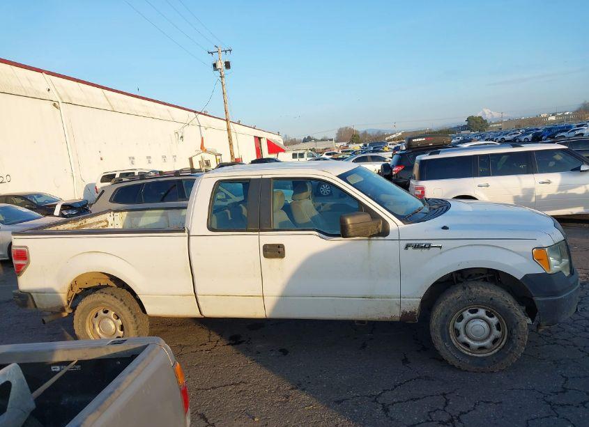 Photo 13 of 2010 Ford F-150 FX4/LARIAT/XL/XLT (VIN 1FTFX1EV6AFA41117)