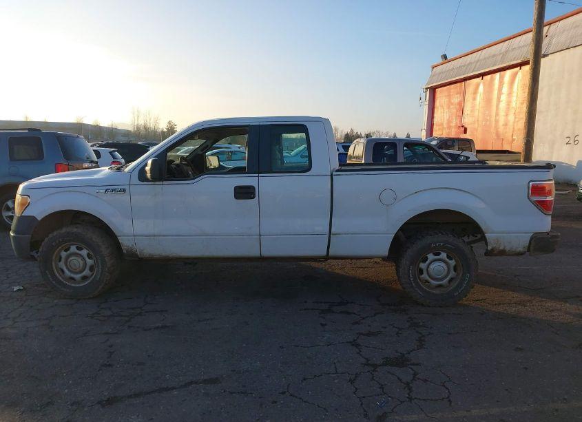 Photo 14 of 2010 Ford F-150 FX4/LARIAT/XL/XLT (VIN 1FTFX1EV6AFA41117)