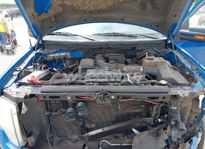 Photo 10 of 2010 Ford F-150 FX4/LARIAT/XL/XLT (VIN 1FTFX1EV6AFB24384)