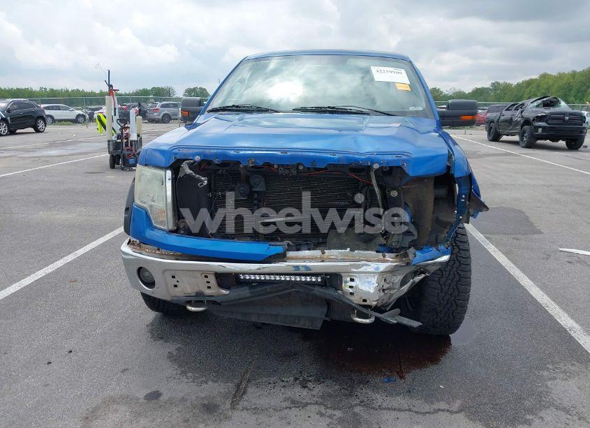 Photo 13 of 2010 Ford F-150 FX4/LARIAT/XL/XLT (VIN 1FTFX1EV6AFB24384)