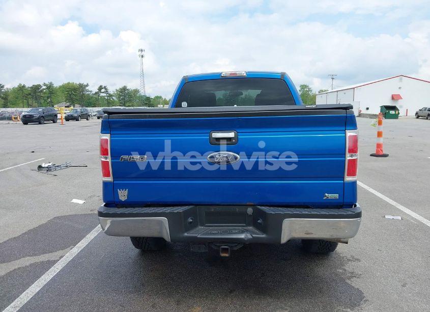 Photo 17 of 2010 Ford F-150 FX4/LARIAT/XL/XLT (VIN 1FTFX1EV6AFB24384)