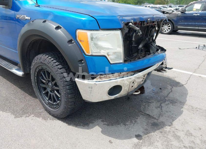 Photo 19 of 2010 Ford F-150 FX4/LARIAT/XL/XLT (VIN 1FTFX1EV6AFB24384)