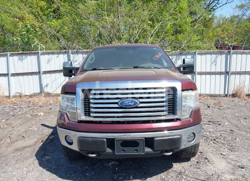 Photo 11 of 2010 Ford F-150 FX4/LARIAT/XL/XLT (VIN 1FTFX1EV6AFC58618)