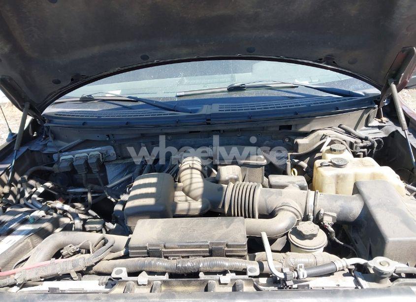 Photo 9 of 2010 Ford F-150 FX4/LARIAT/XL/XLT (VIN 1FTFX1EV6AFC58618)