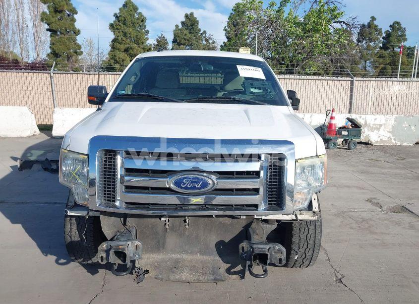 Photo 13 of 2010 Ford F-150 FX4/LARIAT/XL/XLT (VIN 1FTFX1EV6AKC01214)