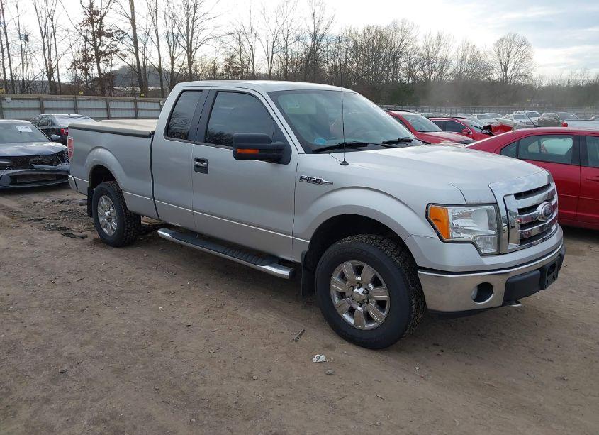2010 Ford F-150 FX4/LARIAT/XL/XLT (VIN 1FTFX1EV7AFB18397) main photo