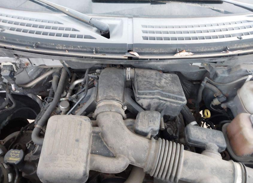 Photo 10 of 2010 Ford F-150 FX4/LARIAT/XL/XLT (VIN 1FTFX1EV7AFB18397)