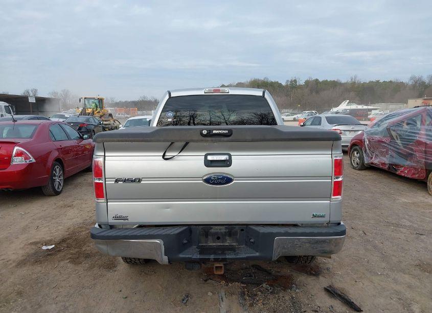 Photo 16 of 2010 Ford F-150 FX4/LARIAT/XL/XLT (VIN 1FTFX1EV7AFB18397)