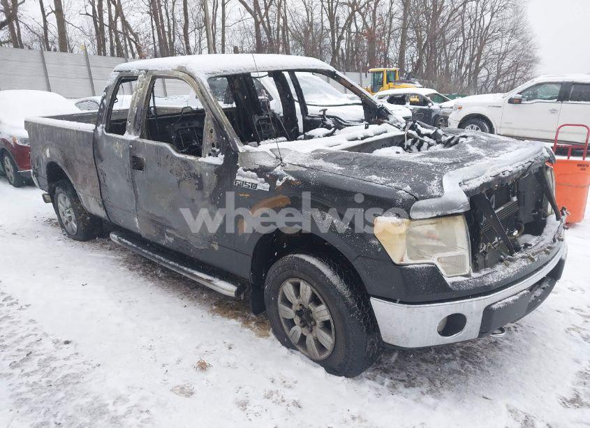2010 Ford F-150 FX4/LARIAT/XL/XLT (VIN 1FTFX1EV8AFC48169) main photo