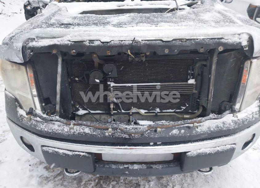 Photo 14 of 2010 Ford F-150 FX4/LARIAT/XL/XLT (VIN 1FTFX1EV8AFC48169)