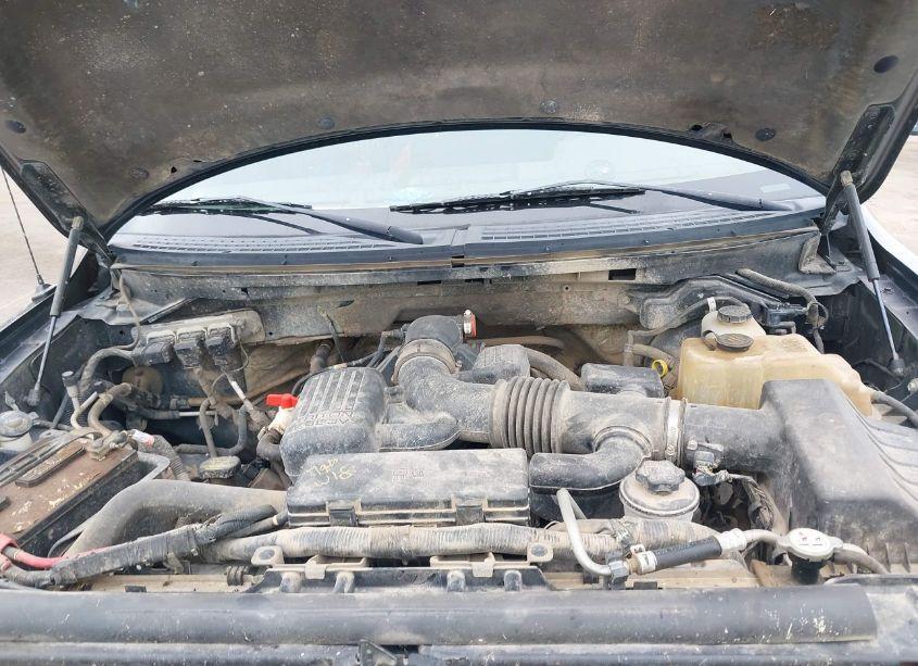 Photo 10 of 2010 Ford F-150 FX4/LARIAT/XL/XLT (VIN 1FTFX1EV9AFB96714)